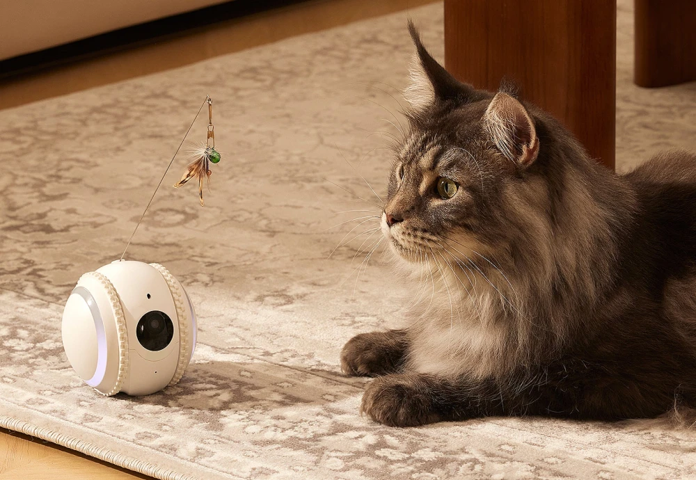 best pet surveillance camera