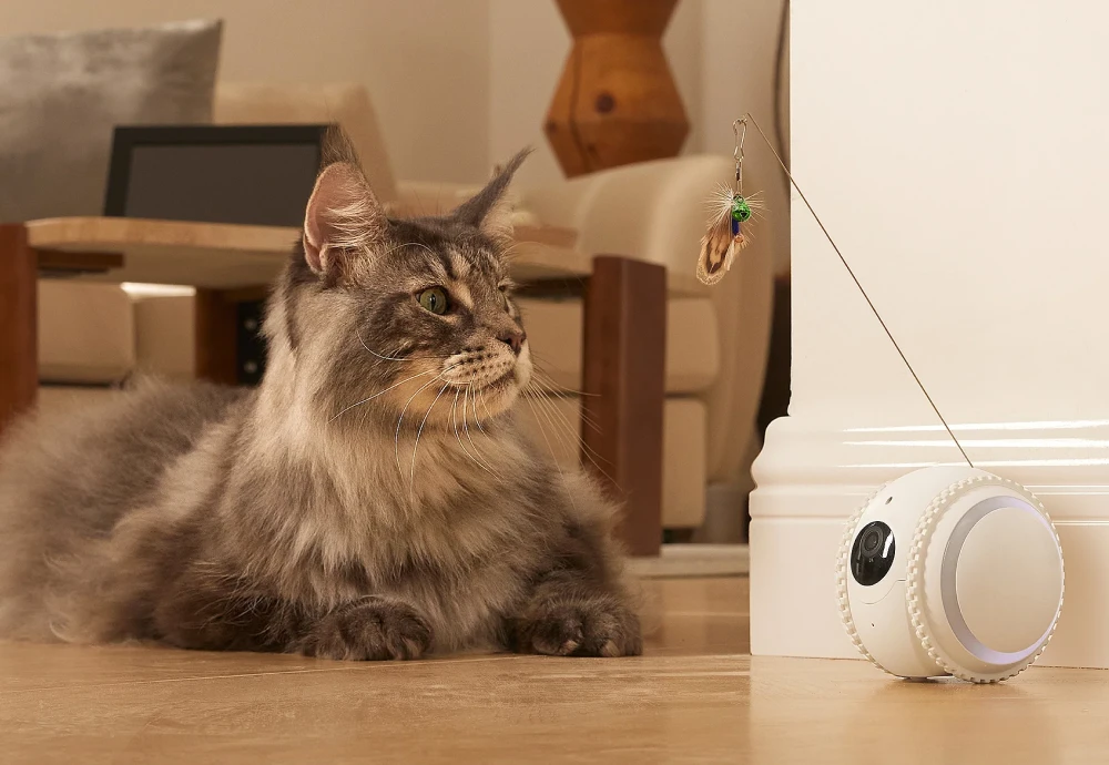 best indoor cameras for pets