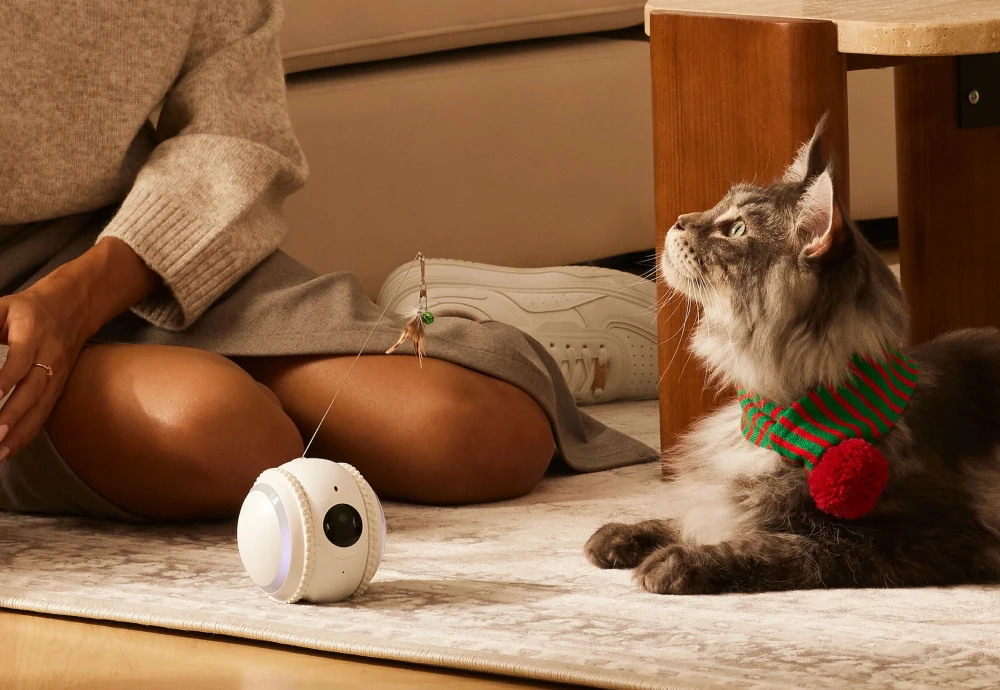 interactive pet camera