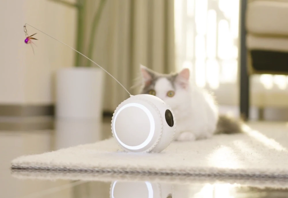 best indoor cameras for pets