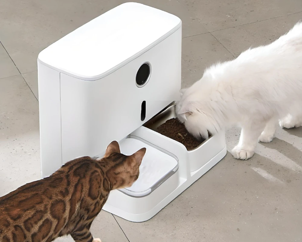 dog feeder with camera