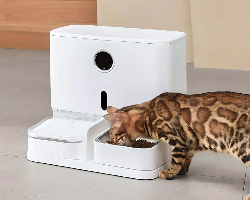 automatic food feeder for dogs