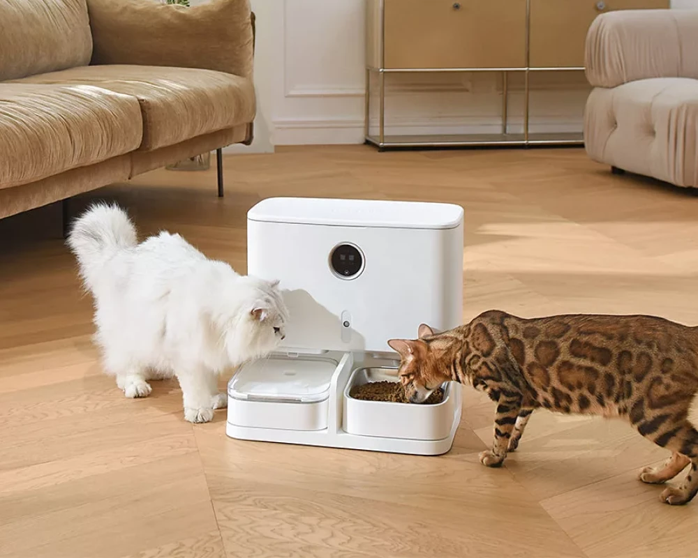 dog automatic pet feeder