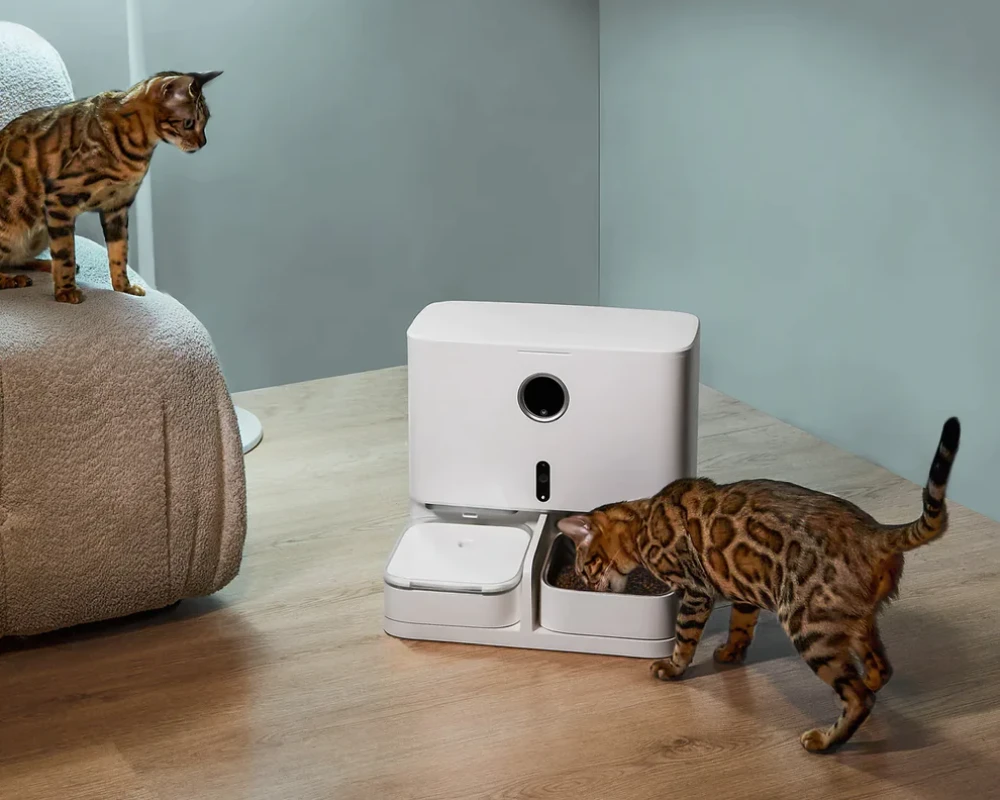 automatic pet feeding station