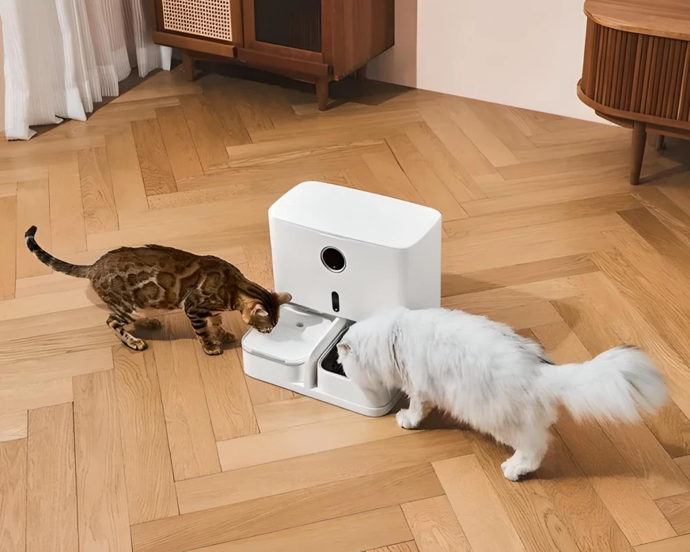 smart pet feeder with camera