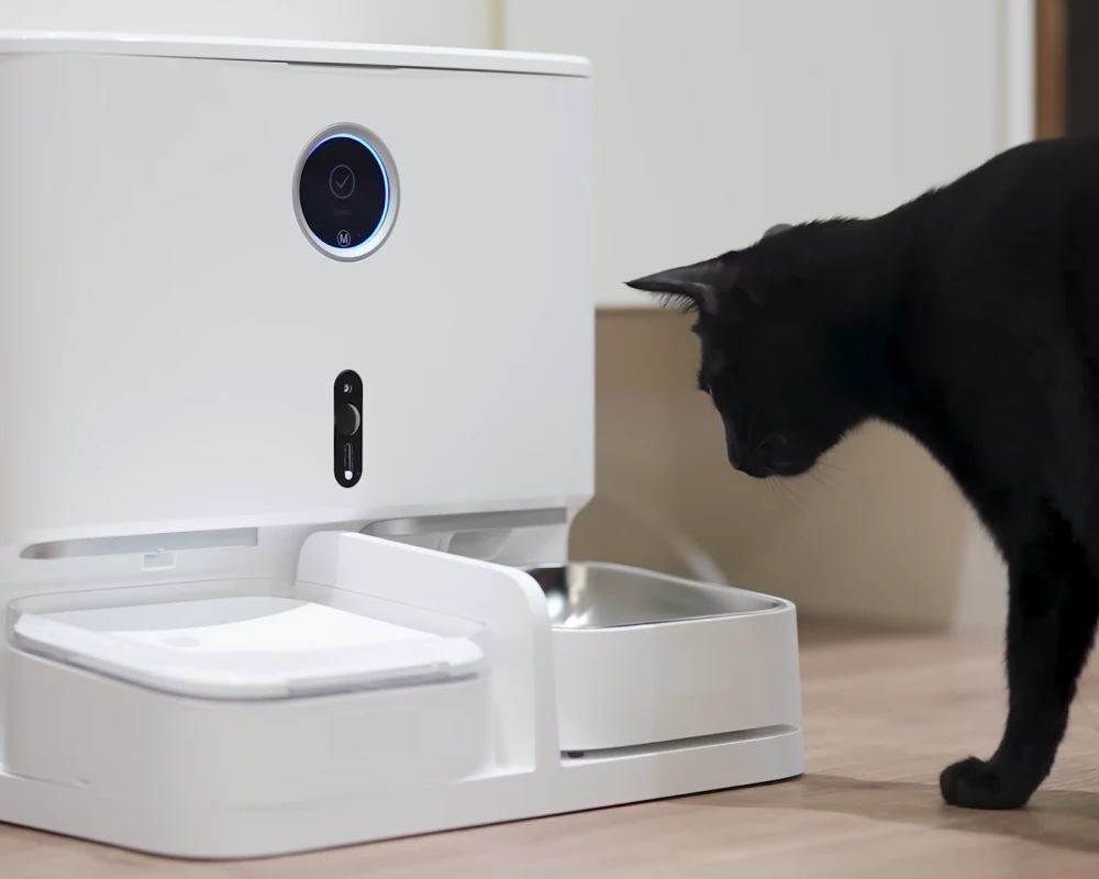 automatic food feeder for dogs